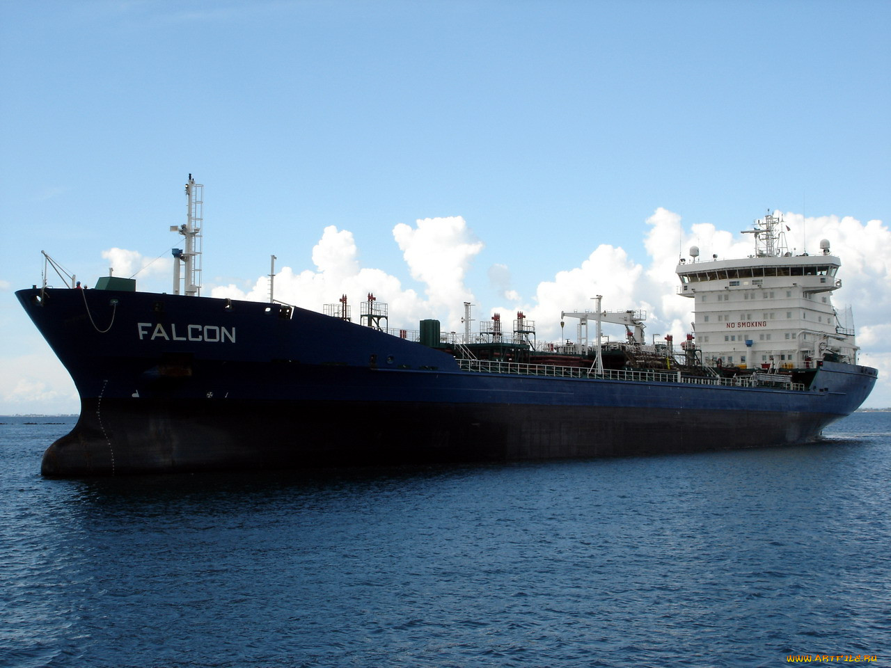 falcon, , 